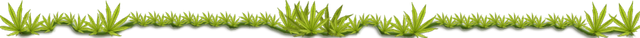cannabis div 2.png