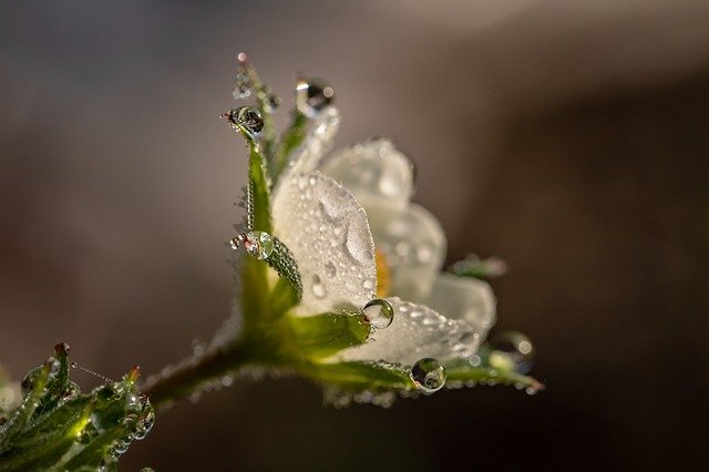 raindrop3402550_640.jpg