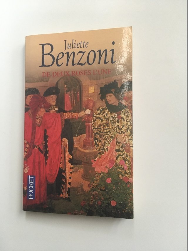 livre J Benzoni de 2 roses l'une.JPG