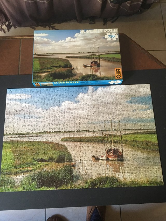 puzzle 750p.JPG