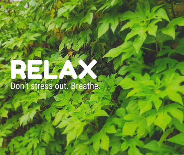 Relax, Don't Stress Out..png