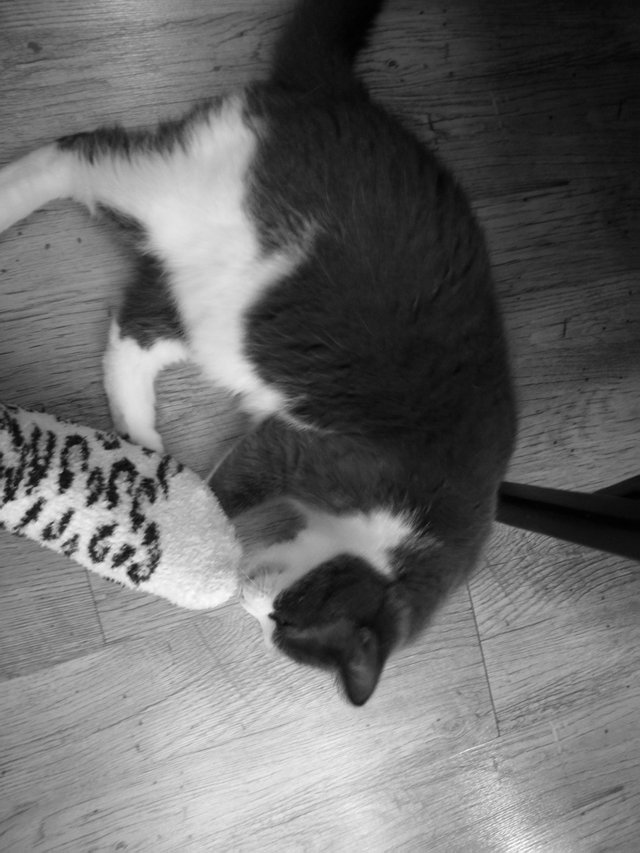 IMG_20200205_162101.jpg