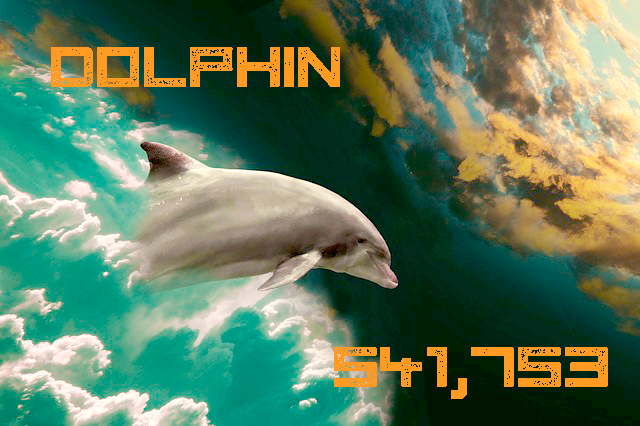 Dolphin 541,753.png