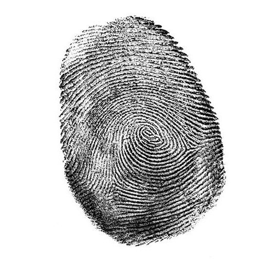 fingerprint102.jpg