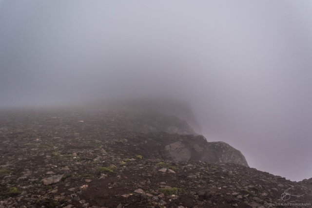 DSC_0148.jpg