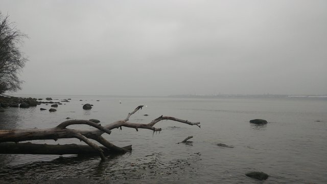 20191025_160347.jpg