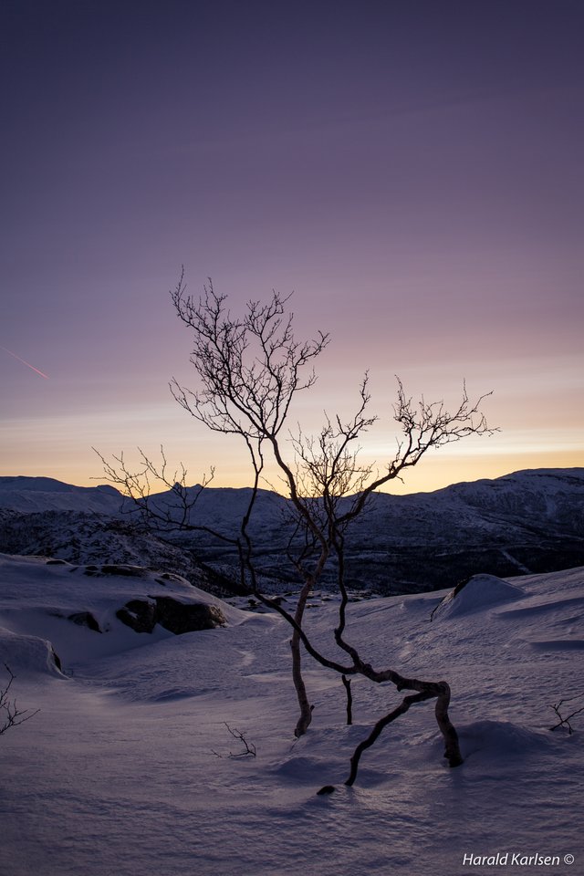 Frozen landscape4.jpg