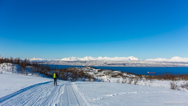 Ankenesfjellet6.jpg