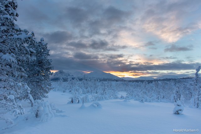 Veggfjellet 25.jpg