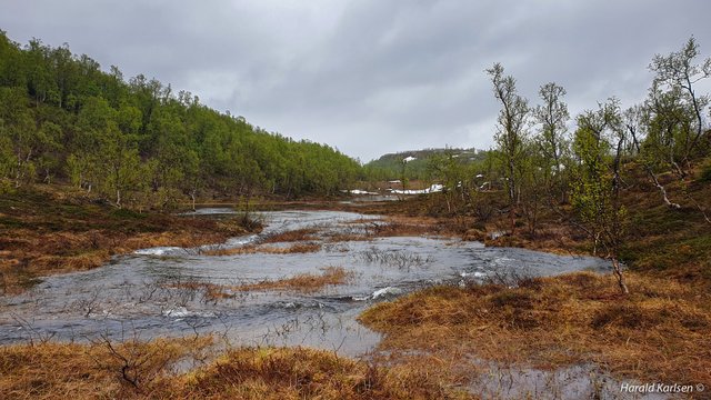 Nygårdsfjellet4.jpg