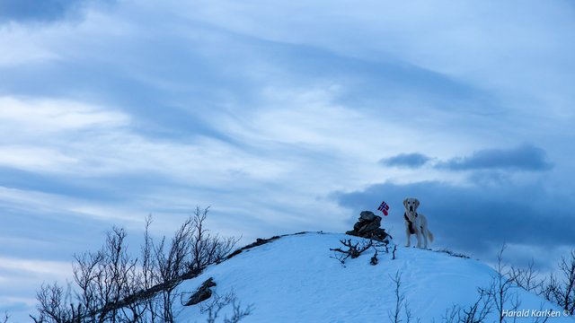 Taraldsvikfjellet10.jpg