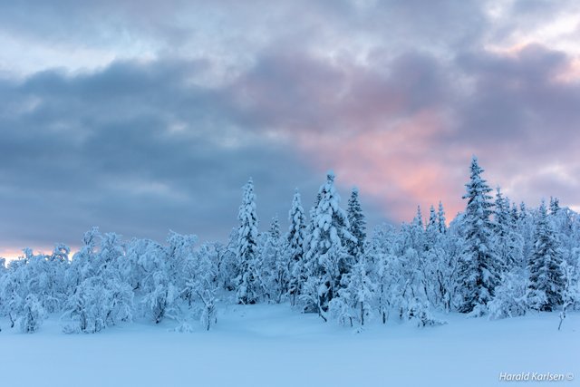 Veggfjellet 2.jpg