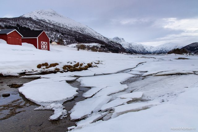 Frozen beach10.jpg