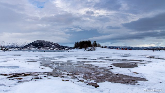 Frozen beach7.jpg