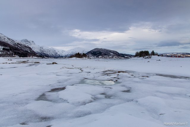 Frozen beach13.jpg