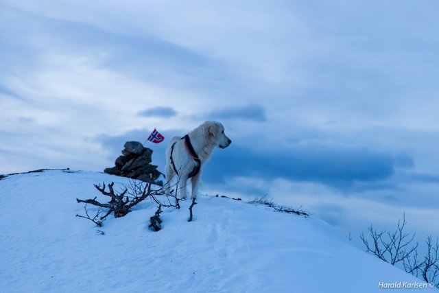 Taraldsvikfjellet11.jpg