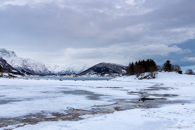 Frozen beach6.jpg