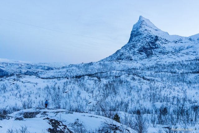 Taraldsvikfjellet14.jpg