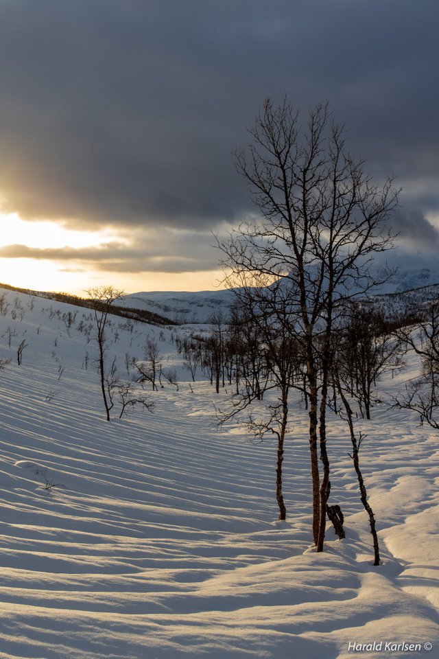 Nygårdsfjellet19.jpg