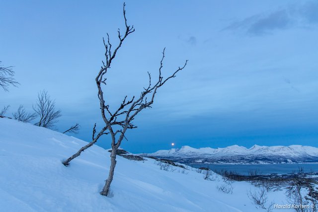 Taraldsvikfjellet5.jpg