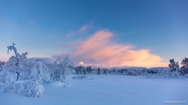 Veggfjellet.jpg