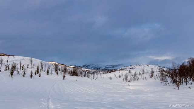 Nygårdsfjellet7.jpg