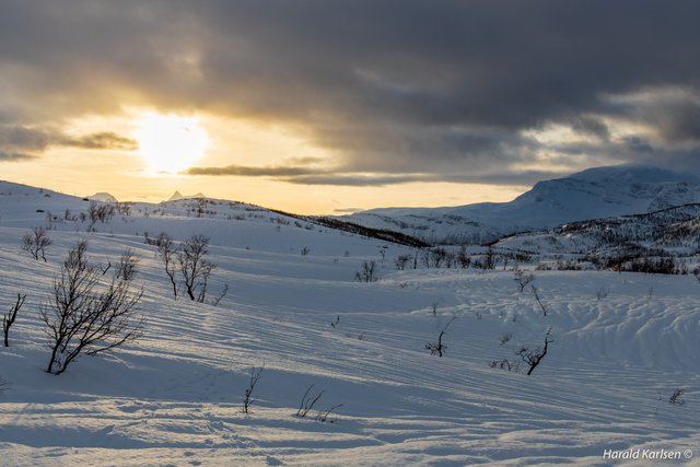 Nygårdsfjellet16.jpg