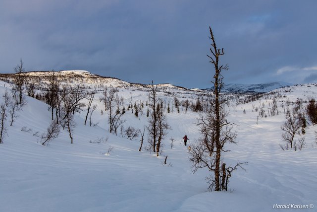 Nygårdsfjellet6.jpg