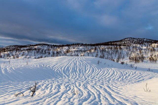 Nygårdsfjellet17.jpg