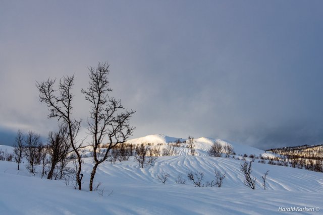 Nygårdsfjellet9.jpg