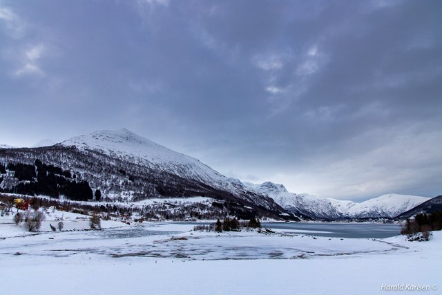 Frozen beach.jpg