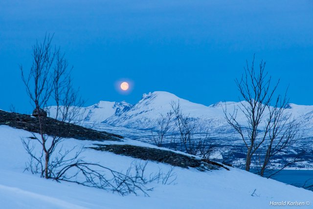 Taraldsvikfjellet9.jpg