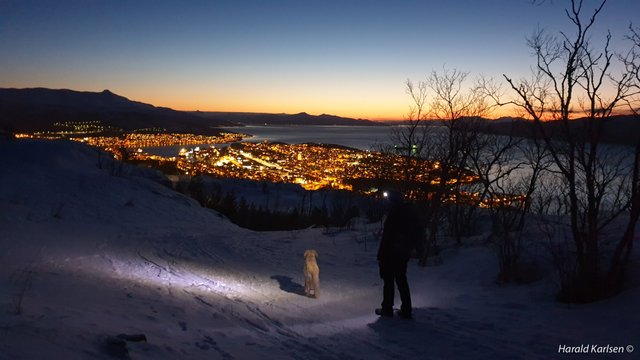 Narvik2.jpg