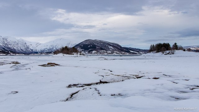 Frozen beach11.jpg