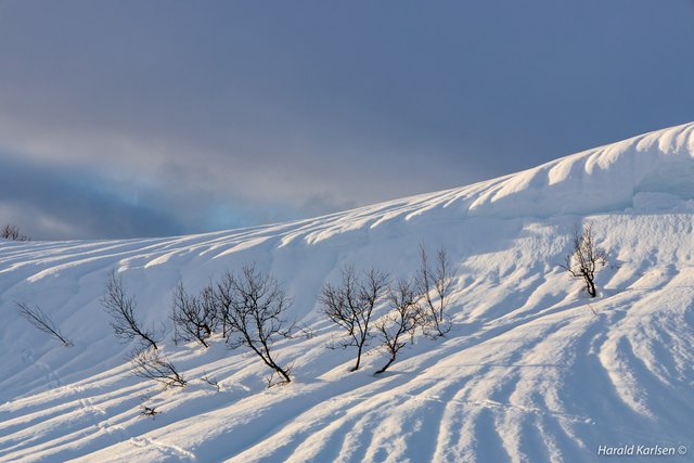 Nygårdsfjellet15.jpg