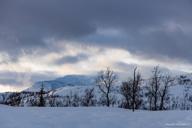 Nygårdsfjellet5.jpg