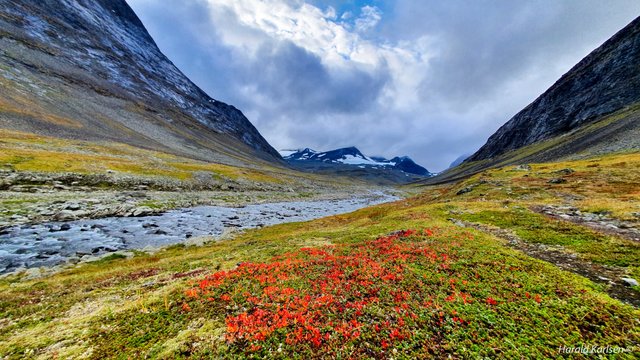 Nallodalen Dag 128.jpg