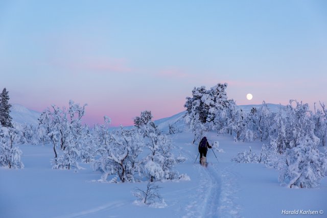 Veggfjellet.jpg