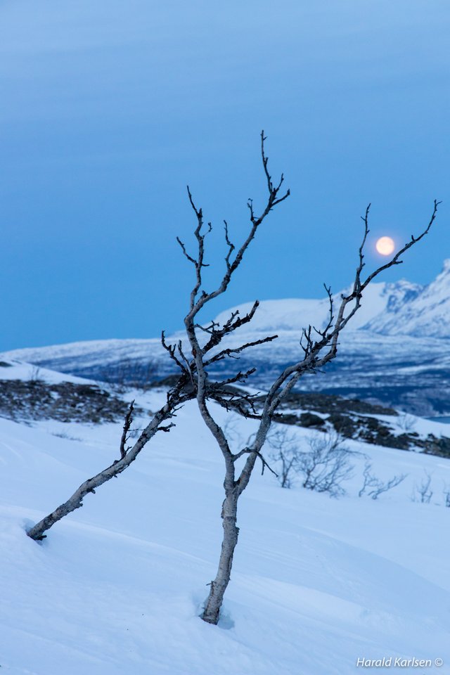 Taraldsvikfjellet6.jpg