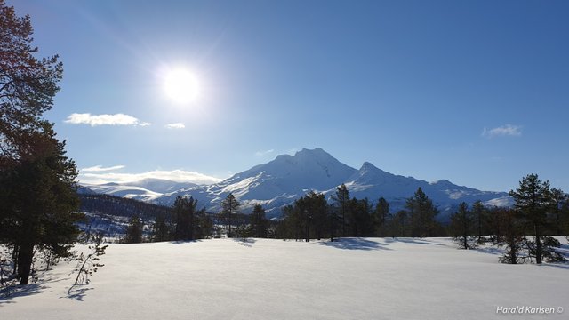 Ankenesfjellet.jpg