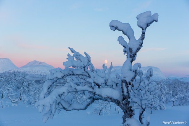 Veggfjellet3.jpg