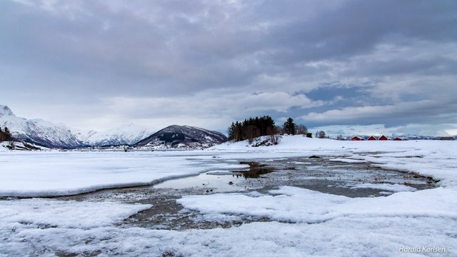 Frozen beach4.jpg