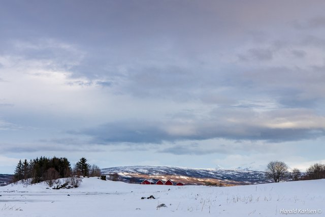 Frozen beach12.jpg