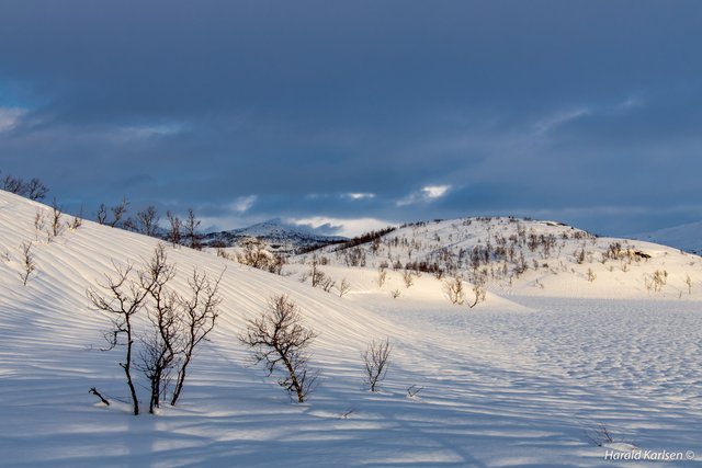 Nygårdsfjellet13.jpg