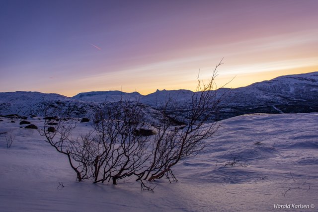 Frozen landscape3.jpg