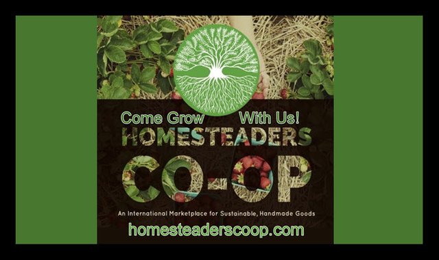 Come grow with us Homesteaders coop international marketplace for sustainable handmade goods snap 640 x 360.jpg
