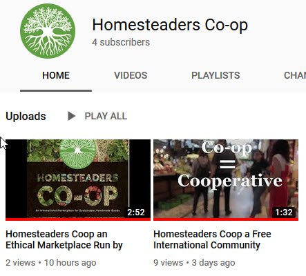 views_on_videos_on_Homesteaders_Coop_Youtube_channel.jpg
