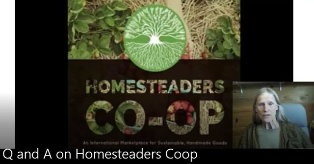 Q and A  on Homesteaders Coop thumbnail.jpg