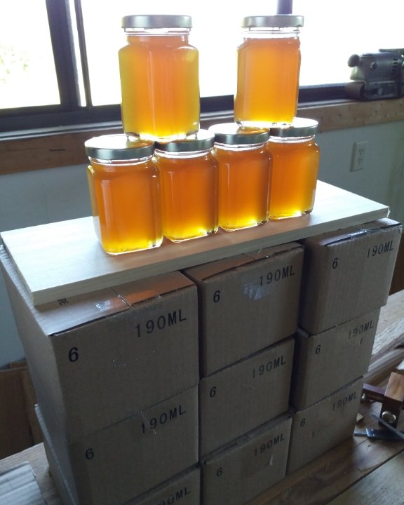 Honeyharvest.jpg