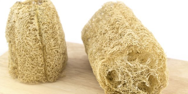 luffa.jpeg